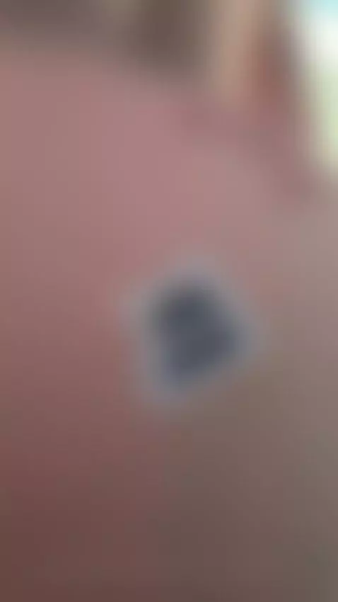 a cute kitten by claudiarive