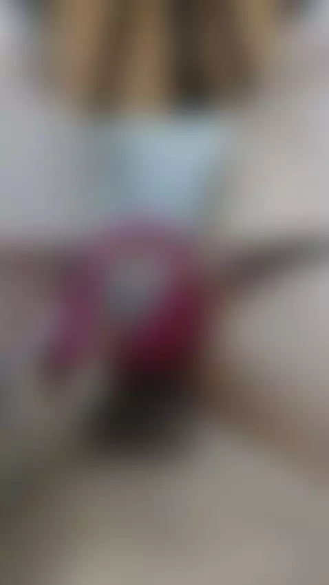 #hairypussy #pussy #xxx by sophiahell22