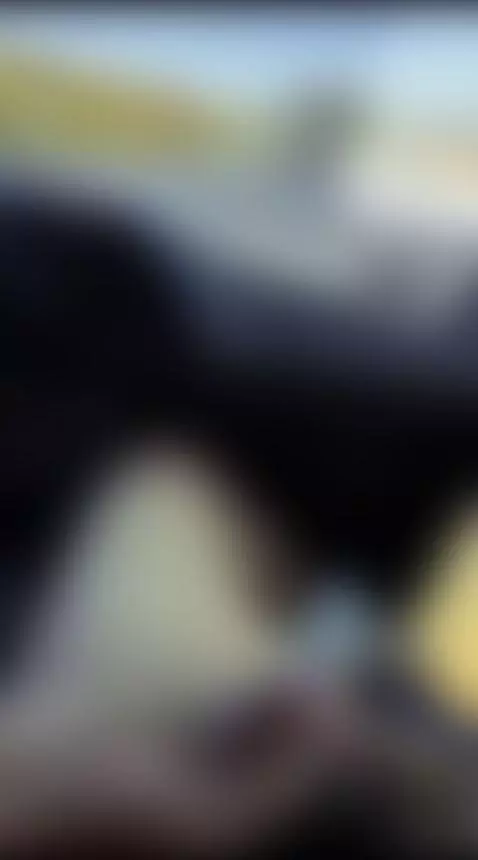 paja de camino by desseoo