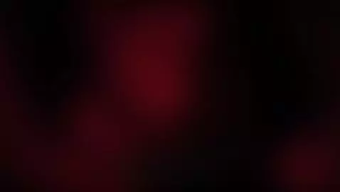 cuatro patas by desseoo