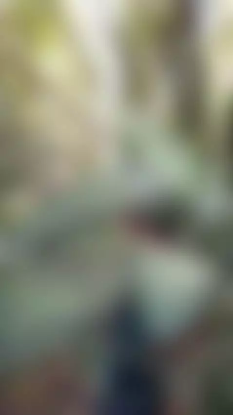 anal, natura, pussy by arysalome