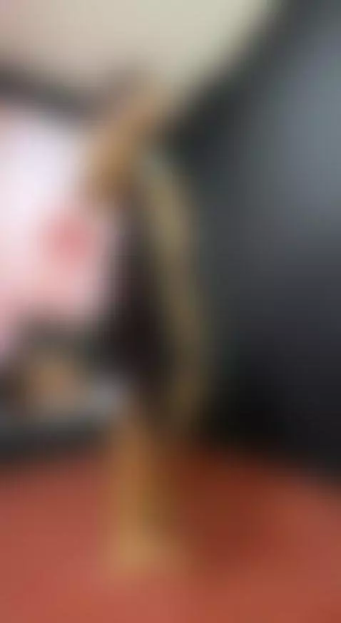 You won't regret coming to my room, let's enjoy the best mom... by alanaakim