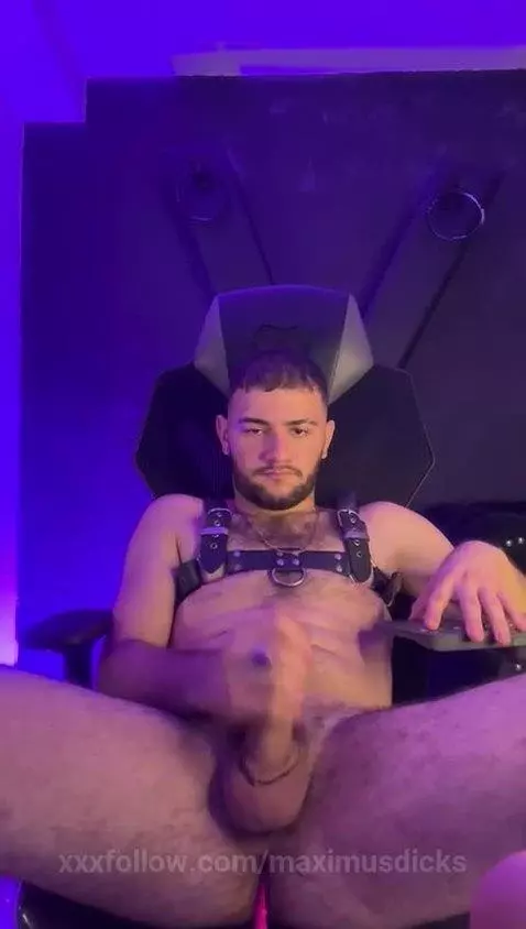 bigdick, ass, teen18+ by maximusdicks