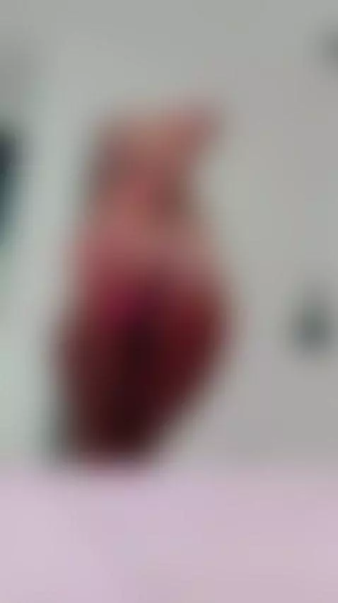 Online, Wet & Horny!🥵🥰 by emiilyanderson