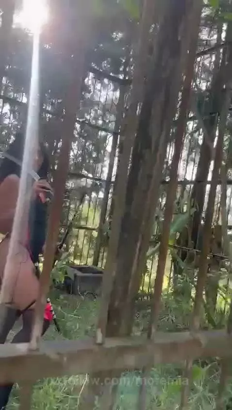 I'm a ninja! by moremia