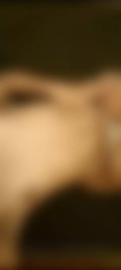 nude, pussy, naked by moremia