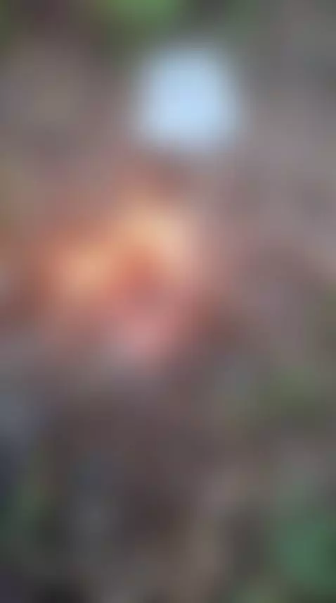 Just Hanging by lookslikemazuma