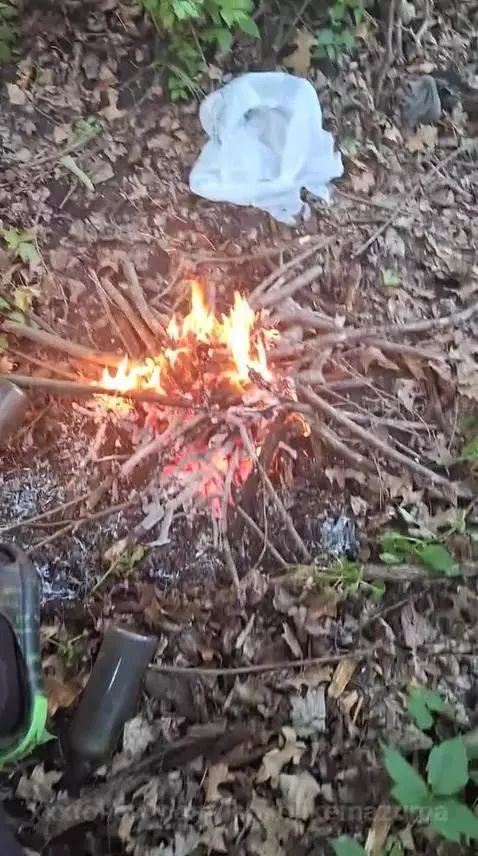 Just Hanging by lookslikemazuma