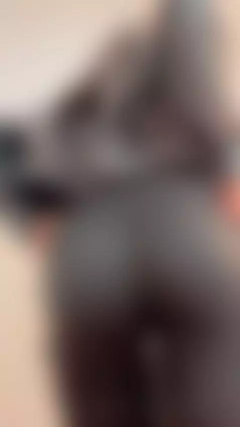 Whisper and you will have me. by tokyohaskell