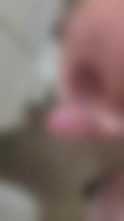 nut everywhere by chorizogordo