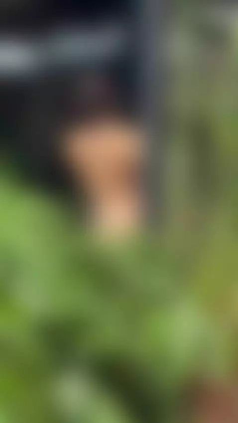 💦 Forbidden Glances: My Steamy Shower, Your Fantasy – Join M... by lauraroldanc