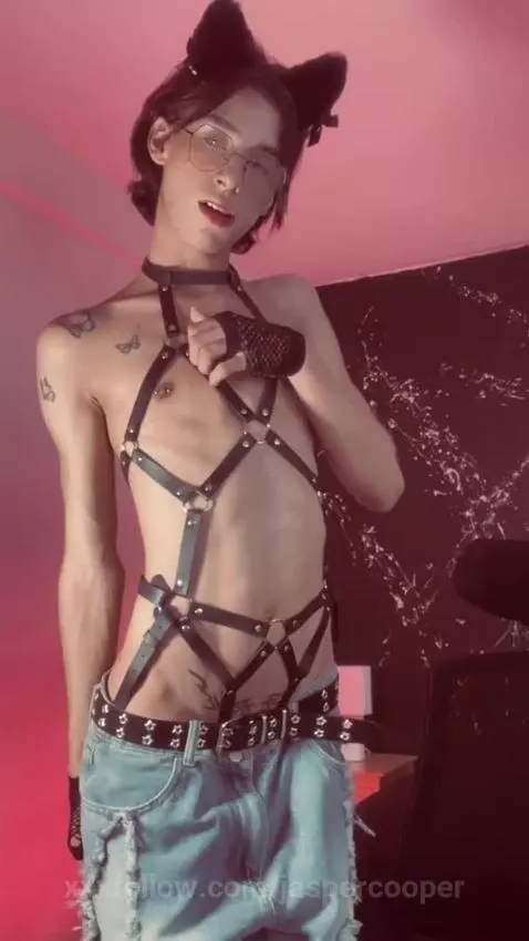 your favorite kitty by jaspercooper