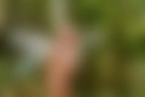 Look my delicious big dick🔥 by britannyclaire