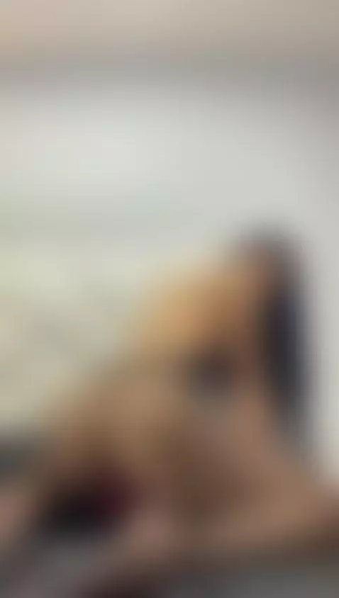 Shake ass by natashataaylor