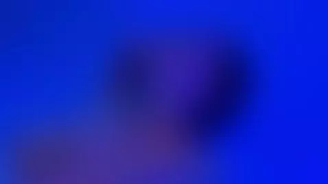 lights that make you fall in love and seduce your mind by camilabetancourt