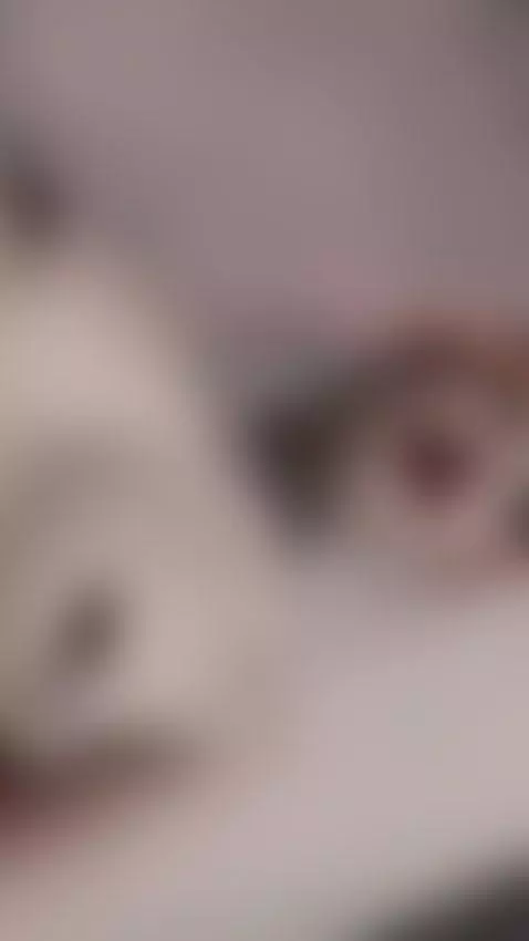 Let the christmas bells ring!!✨️ by shegoblake