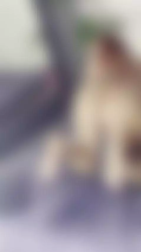 Untamed Desire🔥 by sussanmilff