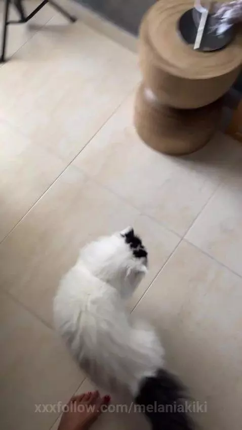 I'm waiting for you live, I want to be your intimate friend😏 by melaniakiki