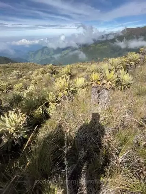 el paraiso by ivanchoxxx