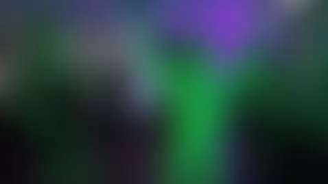 two pro dommes... one sub by edgesofreality