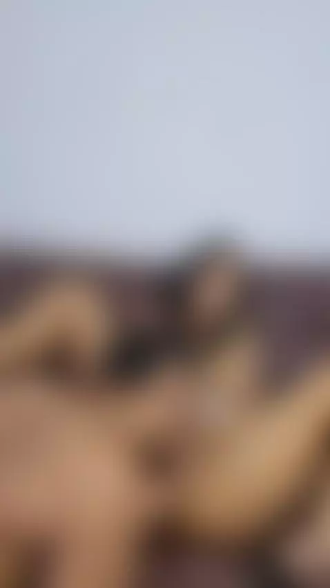 Amateur Couple Eat Creampie pussy https://www.manyvids.com/P... by valeriagarciaz