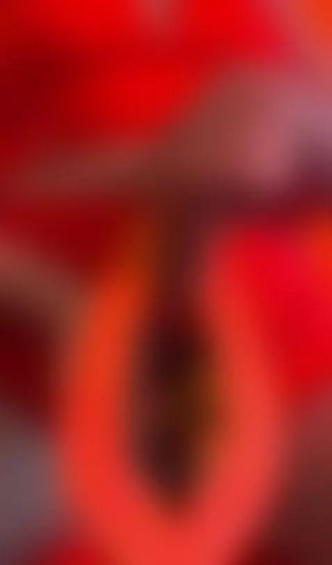 What is your favorite fruit? by sharlotte-milk