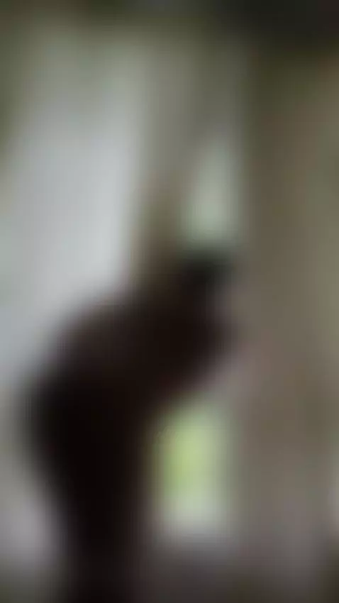 I'm naked at my friend's house wishing you were here to fuck... by bellaaevans