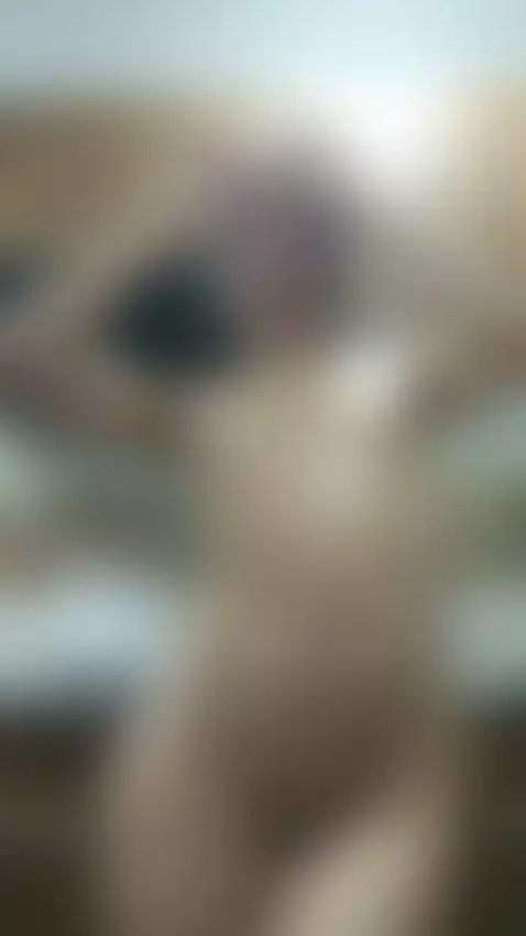 Today my kitchen is hotter than ever ... by bellaaevans