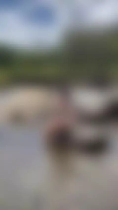 my body is waiting for you by laurenncurvy