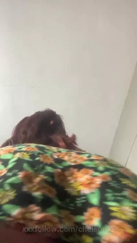 Can I sit in your face?😮‍💨 by chelsgr03