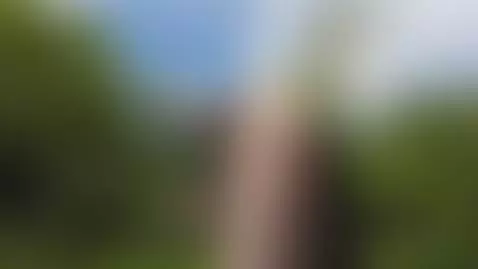 getting ready to play in nature by thefreyanight