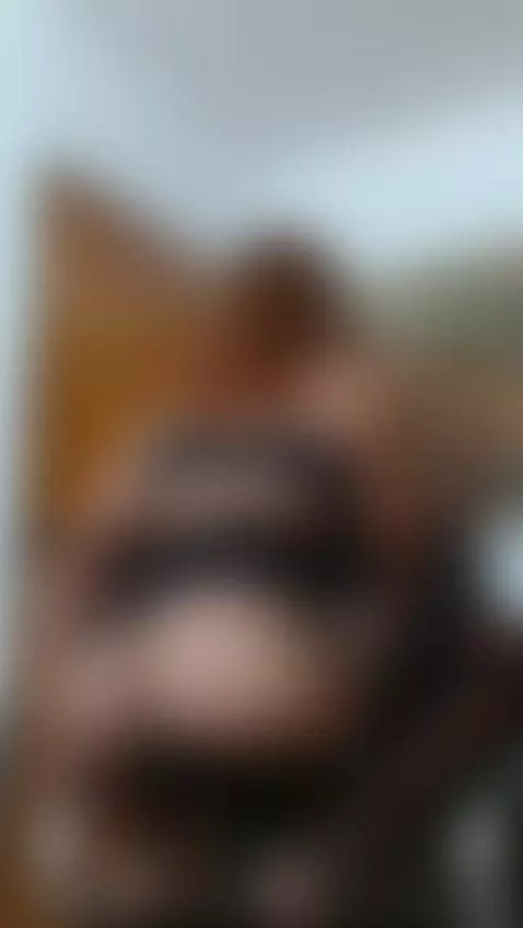 welcome to my room by dannacamilasaenz