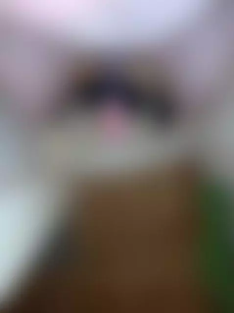 Fuckmachine selfmade with Weights 💦🍆🍆🤤🤤 by faze040