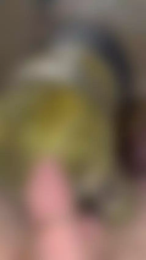 🍆💦💦💦💦💦 by faze040