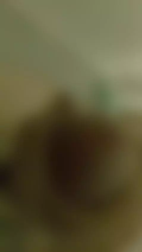 Video by bryans9in69