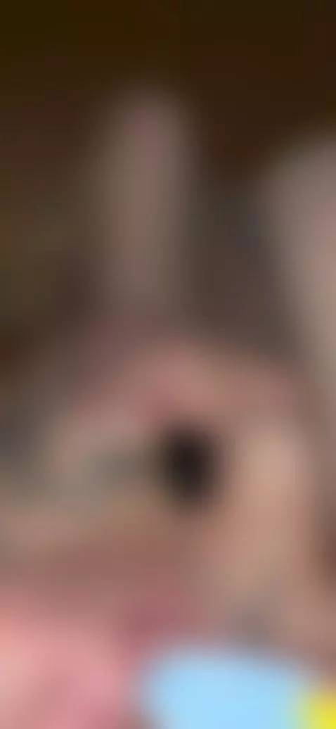 funny love by dixemdown918