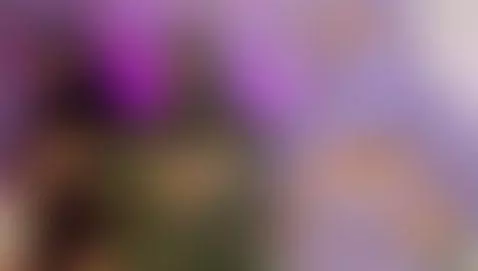 You can with the 3 by cloe-adams