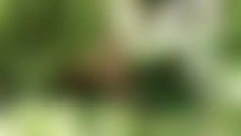 A little creature in the forest 🌳 (full video in Onlyfans) by magiarosa