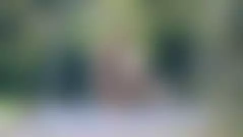 Silly things in the garden. Visit my profile, babyyy by magiarosa