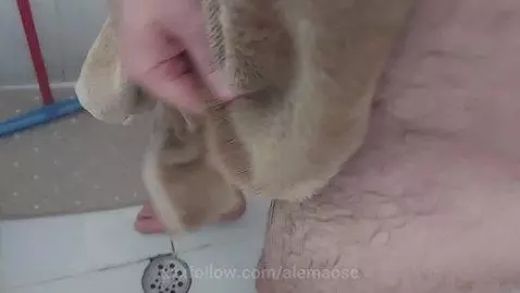 🥒💦💦💦💦 by alemaosc