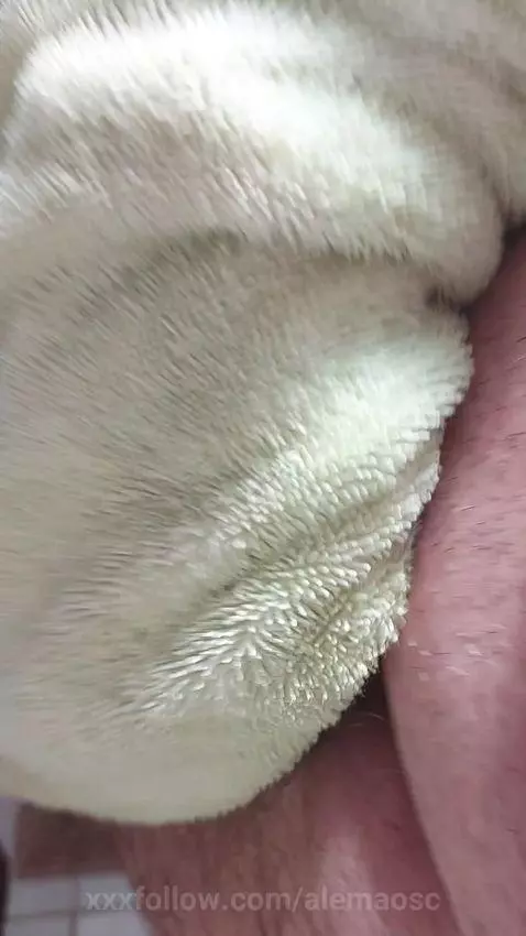 🥒💦💦💦💦💦 by alemaosc