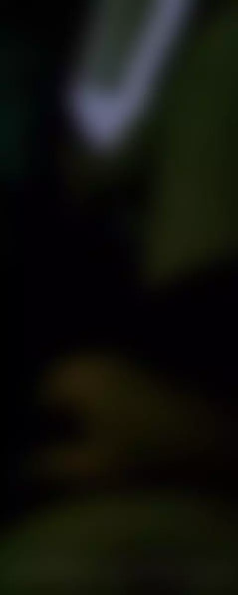 🥒💦💦💦💦💦 by alemaosc