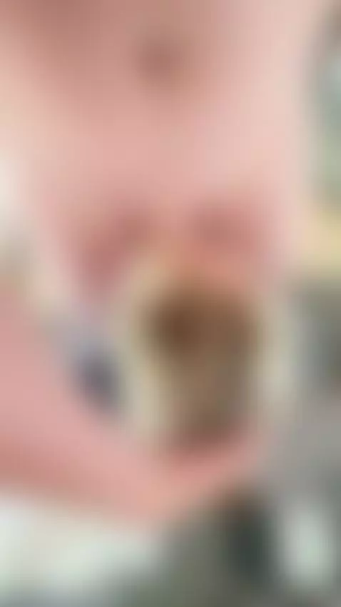 suck, oralsex, blowjob by naiaxlips