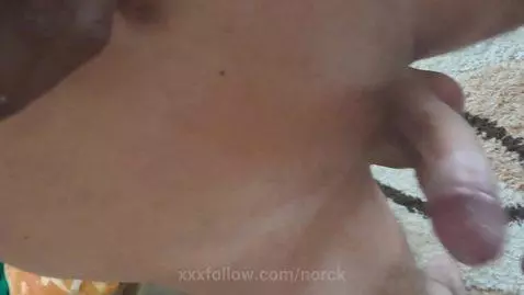 httpsfanslynorck01 by norck