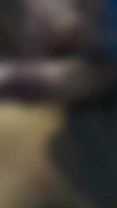 A wonderful day by norck