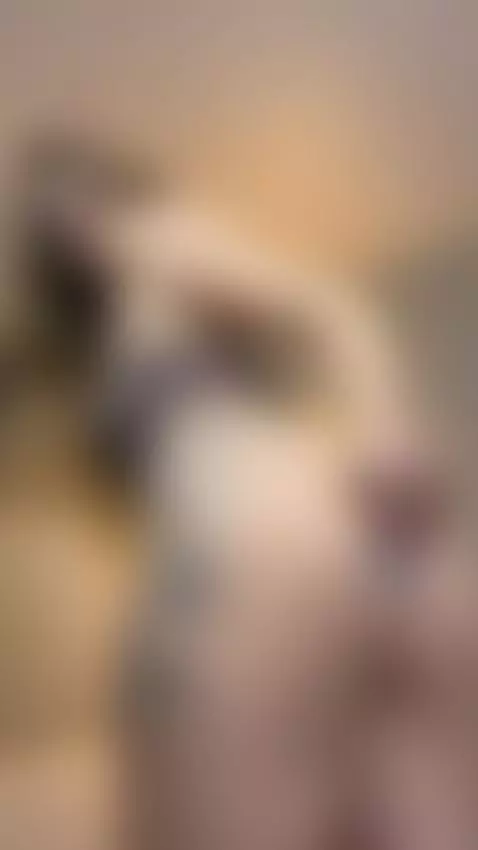 I wish  u can put me on bed and start kissing my neck, suck ... by evaconors