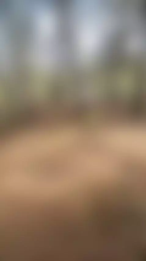 Come to my blue page it's free love by cami1799