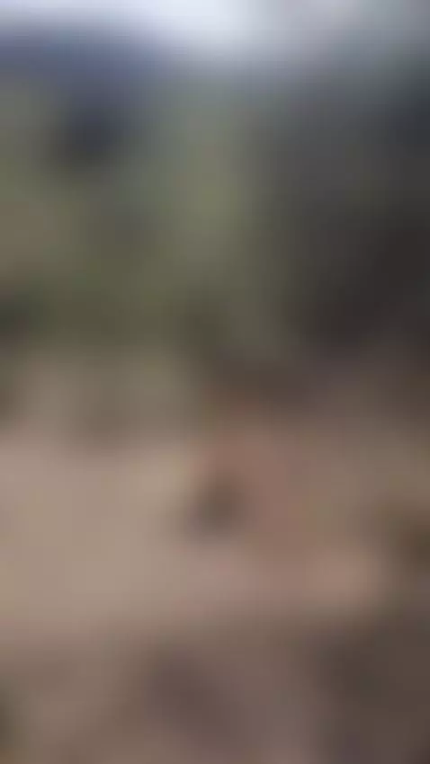 Hello my loves come to me OF it's free by cami1799