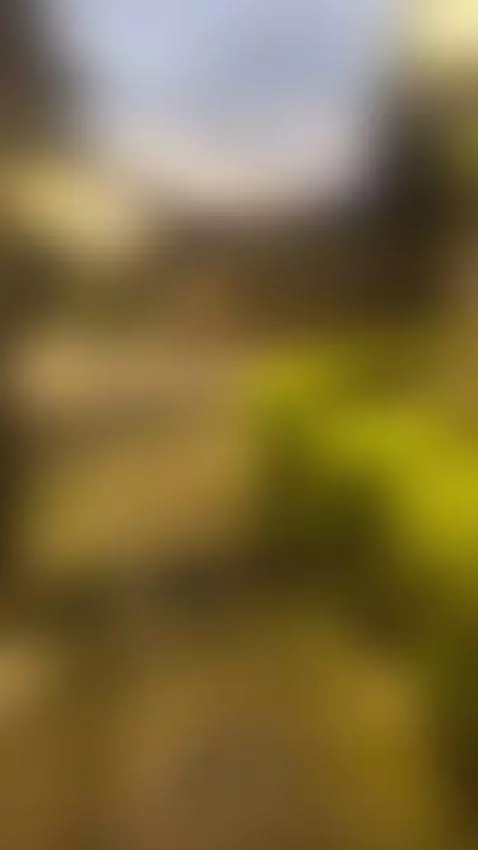 good mornig by zoe-backer