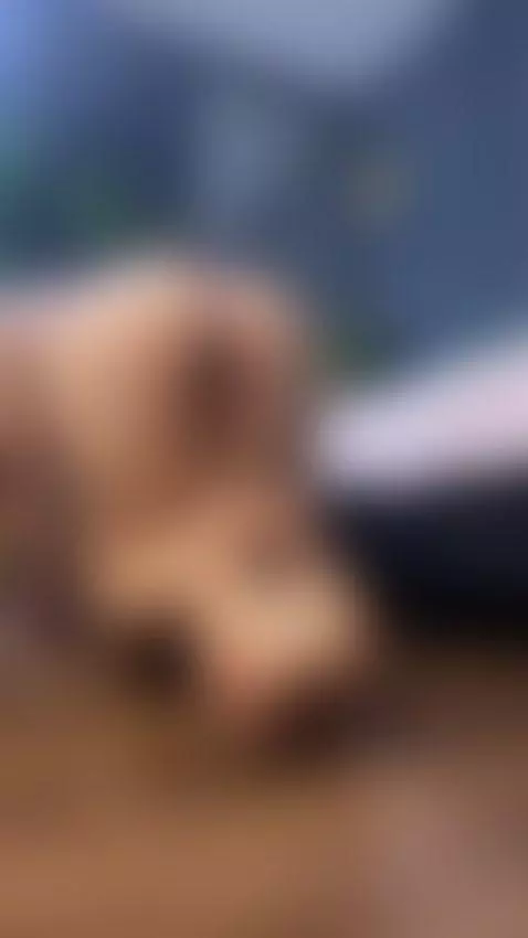 doggy, ass, feets by mia-somer